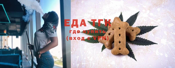 spice Богородицк
