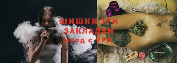 spice Богородицк