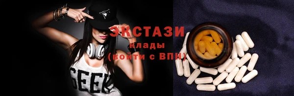 spice Богородицк