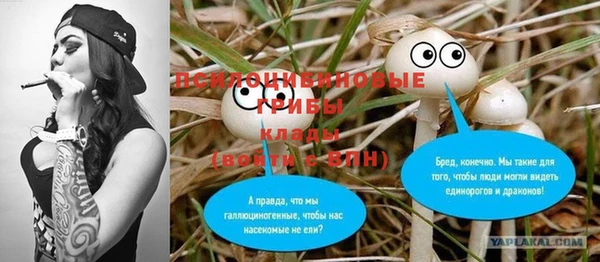 прущая мука Богданович