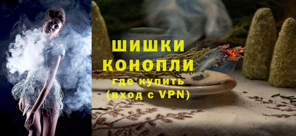 spice Богородицк
