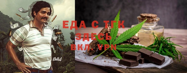 spice Богородицк