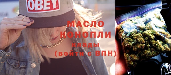spice Богородицк