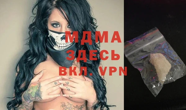 spice Богородицк