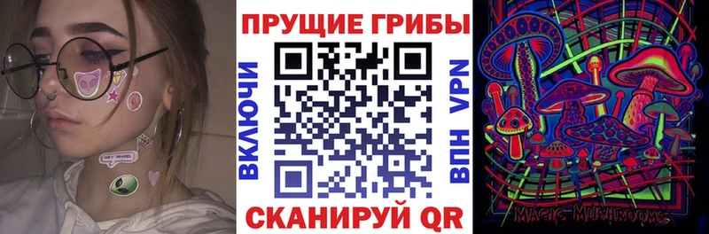 даркнет сайт  Нижний Новгород  Галлюциногенные грибы Cubensis 