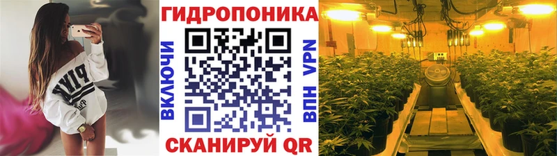 Бошки Шишки THC 21%  Нижний Новгород 